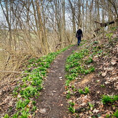 23-03-17 11-27-54 4889